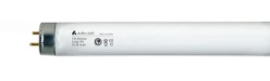 TL-buis Lamp AURALIGH TL 36/840 LONGLIFE ULTIMATE 430234