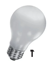 Vezalux Gloeilamp standaard Lampen voor verlichtingsarmaturen