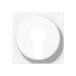 Bedieningselement /centraalplaat schakelmateriaal JUNG A 528 PL WW