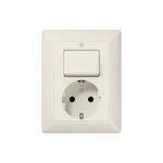 Schakelaar/wandcontactdoos combinatie Jung AS 5576 EU