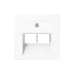 Onderdeel/centraalplaat communicatie-schakelmateriaal Jung 169-2 UAE WW
