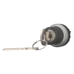 Sleutelschakelaar, 2 standen, RONIS 455, vast