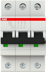 S 203 C25