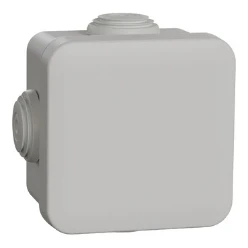 Doos voor montage op de wand/plafond Mureva surface mounted boxes Schneider Electric Sarel KABELDOOS 65X65X45MM GRIJS ENN05002