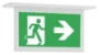 Noodverlichtingsarmatuur GuideLed Eaton Blessing NOOD INB PLAF. CENTR CG-S 20M DUIDI 3367365