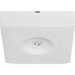Noodverlichtingsarmatuur Eaton Blessing GuideLed SL 13022.1 CG-S opb. v. sy