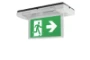 Noodverlichtingsarmatuur Skopos LED Eaton Blessing SKOPOS LED NV PER+AT DZ 1130035