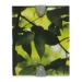 175911746