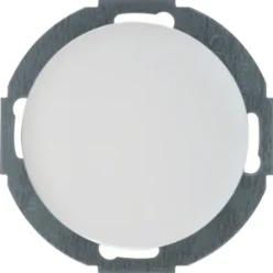 Blindpl. zonder spreidkl. berker R.Classic, polarwit