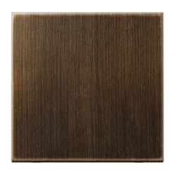 Jung Bedieningselement /centraalplaat schakelmateriaal LS range