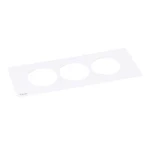 Afdekraam schakelmateriaal Legrand Legrand 654760
