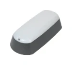 Plafond-/wandarmatuur LIGHTRONICS RINK