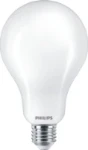 LED-lamp Philips LED bulb A95
