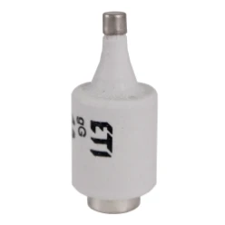 D-zekering Zekering D2 ETI ZEKERING  6A SNEL 416611003