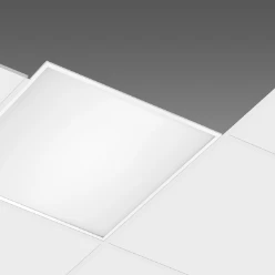 Disano Plafond-/wandarmatuur RODI