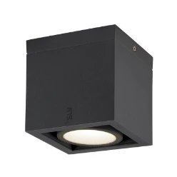 ESKINA FRAME CL single, plafondopbouwarmatuur antraciet 15W 1100/1200l