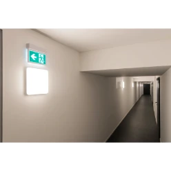 SIMA SENSOR, Indoor led wand- en plafondopbouwlamp wit 3000 K rechthoe