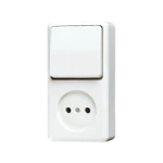 Schakelaar/wandcontactdoos combinatie Jung 646 AWW