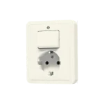 Schakelaar/wandcontactdoos combinatie Jung 5576 EU