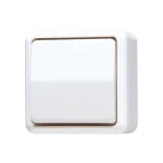 Installatieschakelaar JUNG 607 A WW