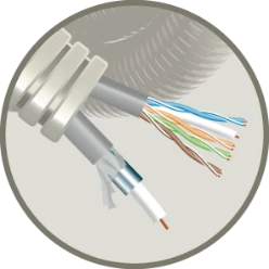 M2MTNL0100