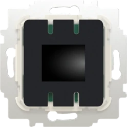 Ruimtethermostaat inb 230V AC BT