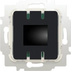 Ruimtethermostaat inb 230V AC BT