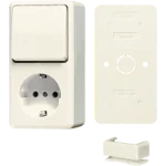 Schakelaar/wandcontactdoos combinatie Jung B 676 A