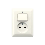 Schakelaar/wandcontactdoos combinatie Jung AS 5546 EU