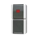 Schakelaar/wandcontactdoos combinatie Jung 876 KOW