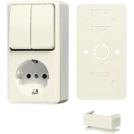 Schakelaar/wandcontactdoos combinatie Jung B 675 A