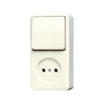 Schakelaar/wandcontactdoos combinatie Jung 646 A