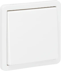 IP55