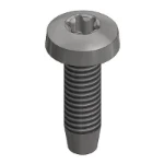 Schroef/bout Van der Valk Solar Systems Tapbout M6x20mm - T30