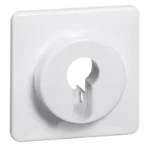 Bedieningselement /centraalplaat schakelmateriaal Peha D 80.610.02 PSS