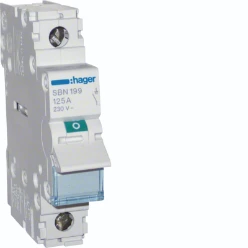 Modulaire lastscheider 1-polig 125 A, grijze tuimel
