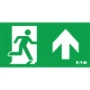 Pictogram noodverlichting Atlantic LED Eaton Blessing PICTO ATL LED S BL ISO 1212447