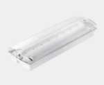 Noodverlichtingsarmatuur DLT VYSN V401001 LED EMERGENCY BULKHEAD