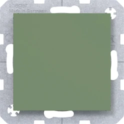 Blindplaat met centraalplaat, A.x/C.x, aloe, mat