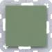 Onderdeel/centraalplaat communicatie-schakelmateriaal A.x/C.x Hager Blindplaat met centraalplaat, A.x/C.x, aloe, mat WAF1001C04