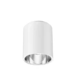 Downlight/spot/schijnwerper Philips Downlight opbouw