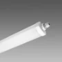 Plafond-/wandarmatuur RODA Fosnova RODA BASIC 1784 DVB CLD CELL 72239005