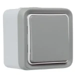 Radiofrequent zender Legrand Legrand 069794