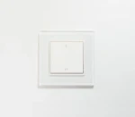 Elektrische onderdelen/toebehoren voor verlichtingsarmaturen Prolumia 46191313