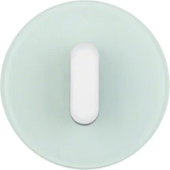 Afdekplaat met knevel, berker R.classic, glas polarwit