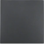 Bedieningselement /centraalplaat schakelmateriaal Hager S.1