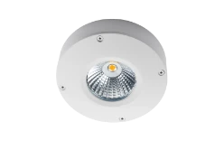 SG Downlight/spot/schijnwerper Callisto