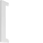 Flensplaat wandgoot Hager BR65