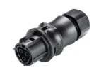 Connector voor insteekbare gebouwinstallatie Wieland RST20I3F B2 ZR1    SW