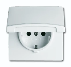 ABB Busch-Jaeger Wandcontactdoos Allw. 44